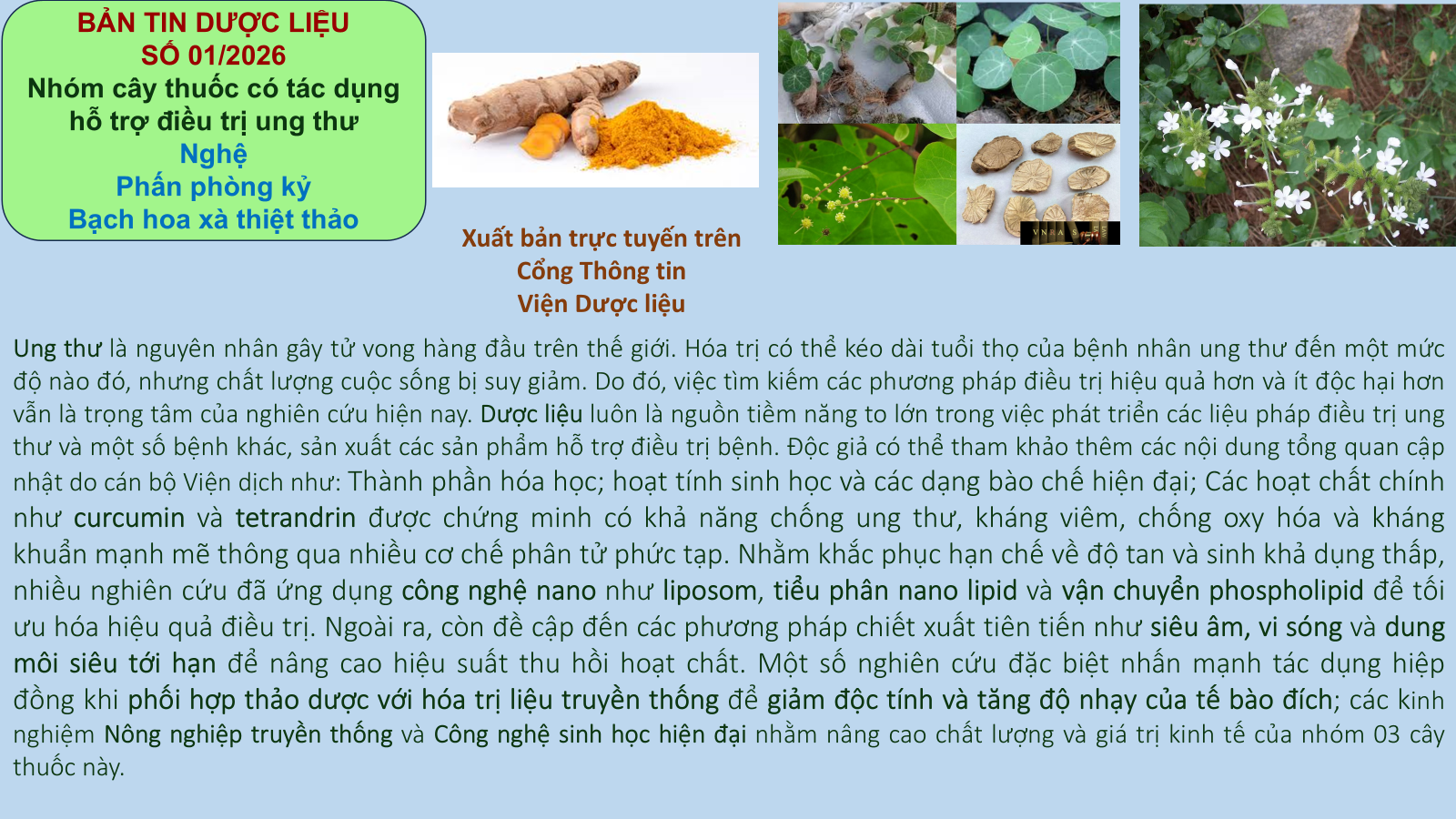 Không có ảnh